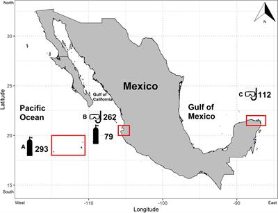 Quantifying the Effects of Diver Interactions on Manta Ray Behavior at Their Aggregation Sites